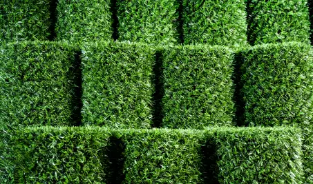 Нужен бесплатный расчет забора Grass Fence из искусственной травы в Омске?